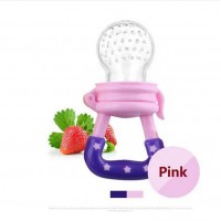 Hot Sale Baby Fruit Feeder Pacifier Fresh Food Feeder